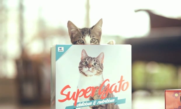 Super Gato: The Cat Food Brand That Thought About the Box