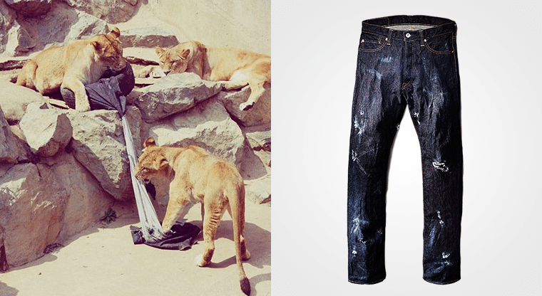 Zoo Jeans: when lions, tigers and bears become fashion designers