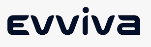 evviva top branding agencies