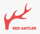 redantler top branding agencies