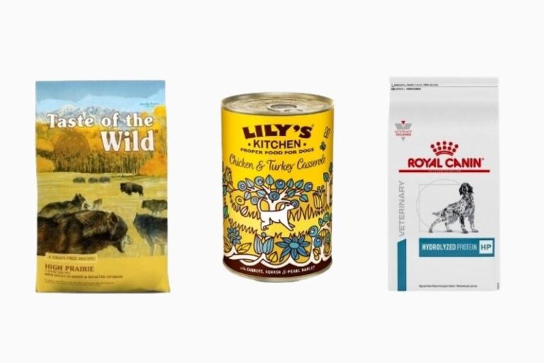 Dog Food Branding: How Companies Differentiate Their Products in a Saturated Market